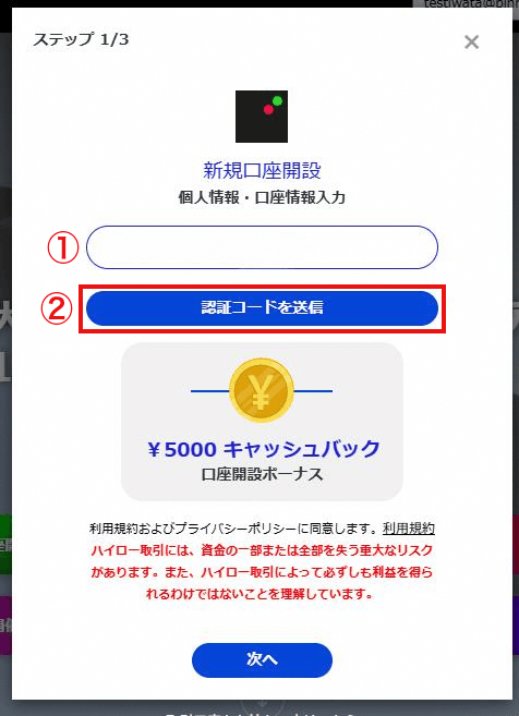 ザオプションのメールアドレス入力画面