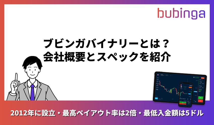 ブビンガバイナリーとは?会社概要とスペックを紹介