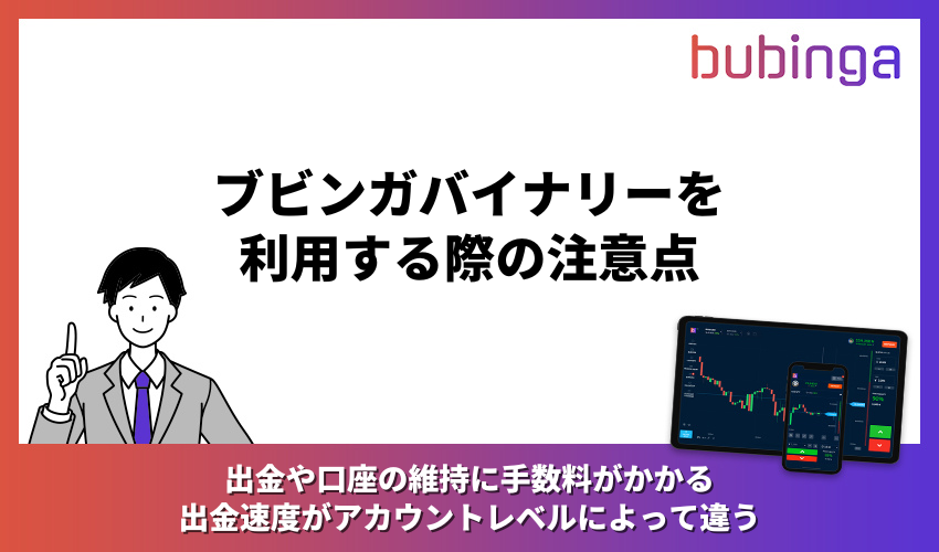 ブビンガバイナリーを利用する際の注意点